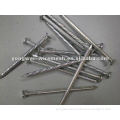 Electro Galvanized Concrete Nails